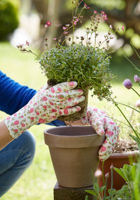 Gants de jardinage Verve - Taille 8 (M)