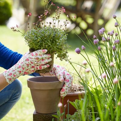 Gants de jardinage Verve - Taille 8 (M)