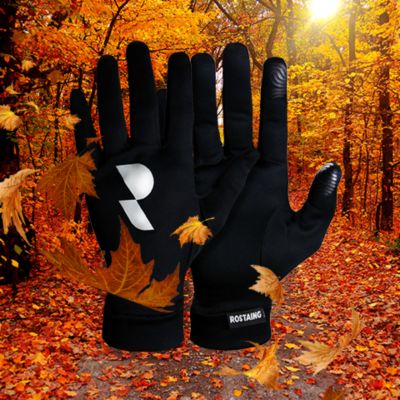 Gants demi-saison tactile Rostaing taille 7