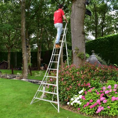 Garden Master Échelle Tripode Plateforme 1 Pied Réglable 150 kg Load EN131 Clips Auto Pieds Griffe + Caoutchouc 5 Marches 2,4 m