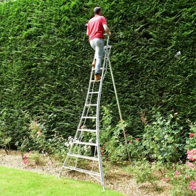 Garden Master Échelle Tripode Plateforme 3 Pied Réglable 150 kg Load EN131 Clips Auto Pieds Griffe + Caoutchouc 5 Marches 2,4 m