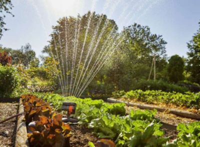 Gardena Arroseur oscillant AquaZoom compact - petites surfaces - portée 3 à 16 m - largeur 3 à 12 m