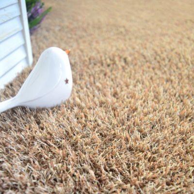 Gazon artificiel Arty Couleur Beige - 20 mm - Rouleau de 2m x 25m