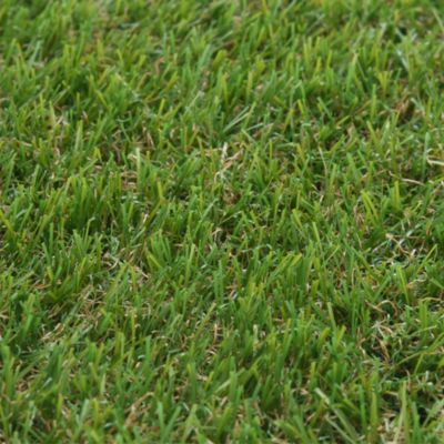 Gazon artificiel Cinderella 1 x 3 m ép.18 mm (vendu au rouleau)