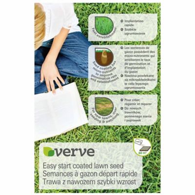 Gazon démarrage facile Verve 1,5 kg 60m²