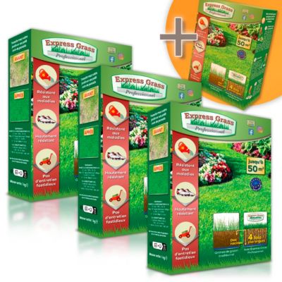 Gazon Express Professionnel (4 boîtes 200M²) - Fiable, résistant froid et chaleur - Germination ultra rapide et dense (14 jours)