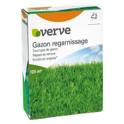Gazon regarnissage Verve 2,5 kg