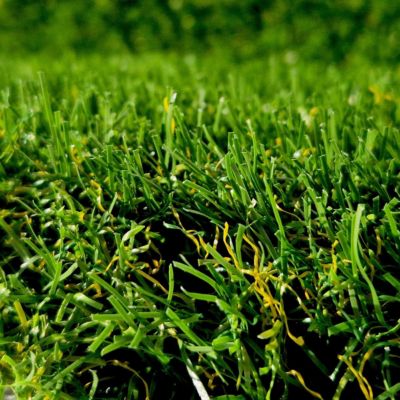 Gazon synthétique Adore 52 mm - 2 x 11 m soit 22 m² - MGS
