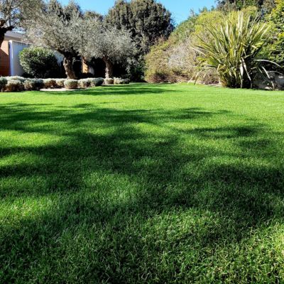 Gazon synthétique Adore 52 mm - 2 x 11 m soit 22 m² - MGS