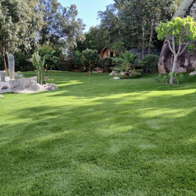 Gazon synthétique Nature Up - 55 mm - Rouleau de 2m x 4m