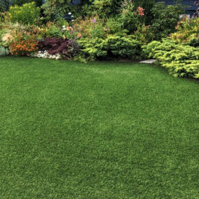 Gazon synthétique Vitalité - 30mm - Rouleau de 2m x 20m