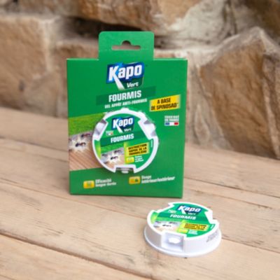 Gel appât anti-fourmis Kapo vert 10g