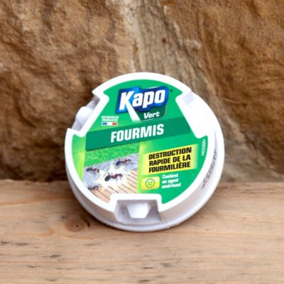 Gel appât anti-fourmis Kapo vert 10g
