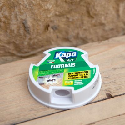 Gel appât anti-fourmis Kapo vert 10g