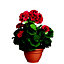 Geranium rouge artificiel ø25 x h.35 cm en pot Campana terra ø15,5 cm