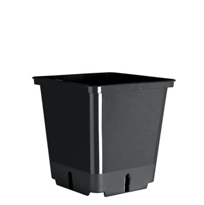 Godets plastique Jany 9 x 9 x h.9,5 cm (lot de 15)