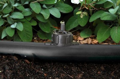 Goutteur auto régulant 4 L/h noir (10 pièces)