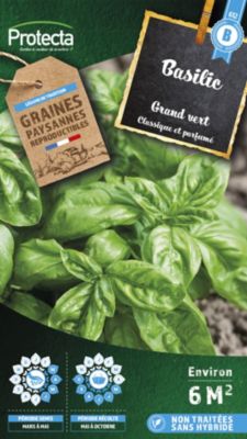Graine de basilic grand vert Protecta