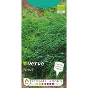 Graines d'aneth bio variété "Aneth" Verve semis de mars à juin