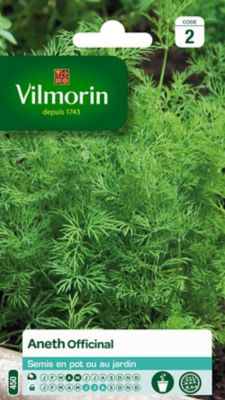 Graines d'aneth variété "Officinal" Vilmorin semis d'avril à mai