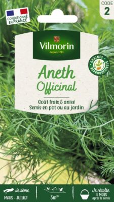 Graines d'aneth variété "Officinal" Vilmorin semis d'avril à mai