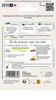 Graines d'aneth variété "Officinal" Vilmorin semis d'avril à mai