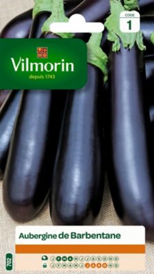 Graines d'aubergine variété "Barbentane" Vilmorin semis de février à avril