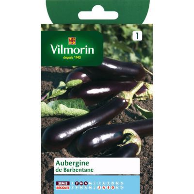 Graines d'aubergine variété "Barbentane" Vilmorin semis de février à avril