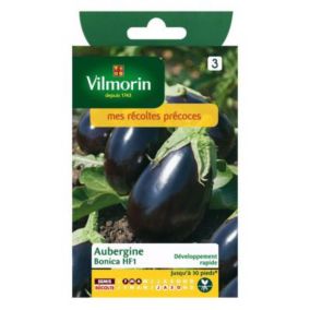 Graines d'aubergine variété "Bonica HF1" Vilmorin semis de février à avril