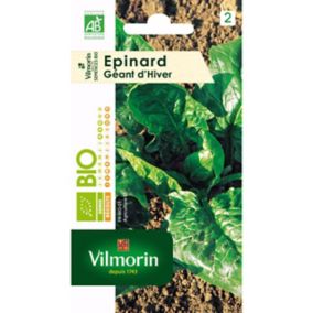 Graines d'épinard bio variété "Géant d'Hiver" Vilmorin semis d'août à octobre