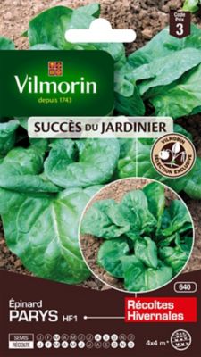 Graines d'épinard variété "Parys HF1" Vilmorin semis en mars et d'août à octobre