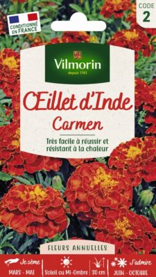 Graines d'Œillet Inde Carmen Vilmorin