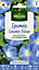 Graines d'Ipomée Grande Fleur Bleue Vilmorin