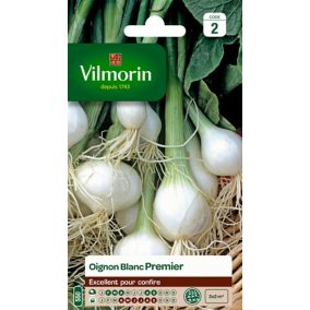 Graines d'oignon blanc variété "Premier" Vilmorin semis de février à avril et d'août à septembre