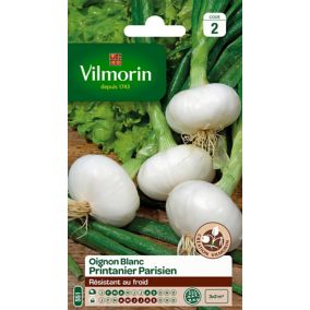 Graines d'oignon blanc variété "Printanier parisien" Vilmorin semis de février à avril et d'août à septembre