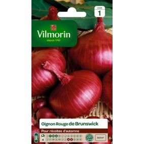 Graines d'oignon rouge variété "Brunswick" Vilmorin semis de février à avril