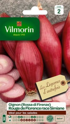Graines d'oignon rouge variété "Rouge de Florence race simiane" Vilmorin semis de mars à avril et d'août à septembre