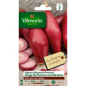 Graines d'oignon rouge variété "Rouge de Florence race simiane" Vilmorin semis de mars à avril et d'août à septembre