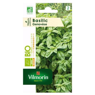 Graines de basilic bio variété "Genovèse" Vilmorin semis de mars à mai