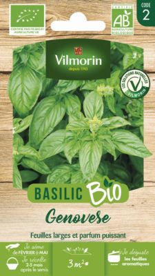 Graines de basilic bio variété "Genovèse" Vilmorin semis de mars à mai