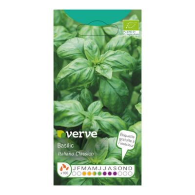 Graines de basilic bio variété "Italiano Classico" Verve semis de mars à mai