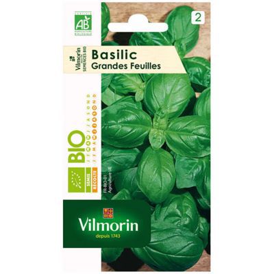 Graine Basilic Genovese Graines De Basilic Genovese Bio - Parfait Pour Pesto Et Culture En Pot - Germisem Graine De Lin