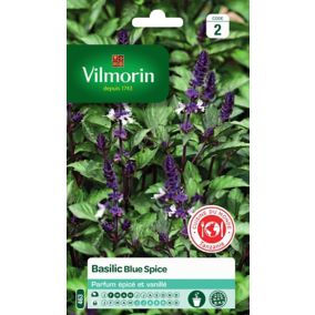 Graines de basilic variété "Blue Spice" Vilmorin semis de février à mai