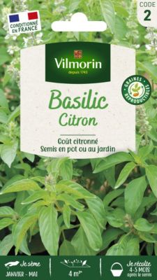 Graines de basilic variété "Citron" Vilmorin semis de mars à mai