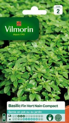 Graines de basilic variété "Fin Vert nain Compact" Vilmorin semis de mars à mai