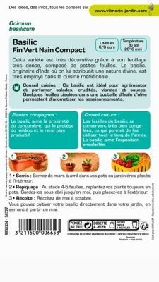 Graines de basilic variété "Fin Vert nain Compact" Vilmorin semis de mars à mai