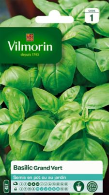 Graines de basilic variété "Grand Vert" Vilmorin semis de mars à mai