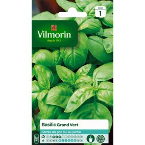 Graines de basilic variété "Grand Vert" Vilmorin semis de mars à mai