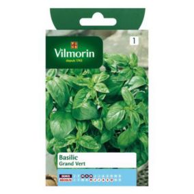 Graines de basilic variété "Grand Vert" Vilmorin semis de mars à mai