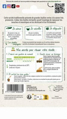 Graines de basilic variété "Grand Vert" Vilmorin semis de mars à mai